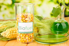 Abbotskerswell biofuel availability